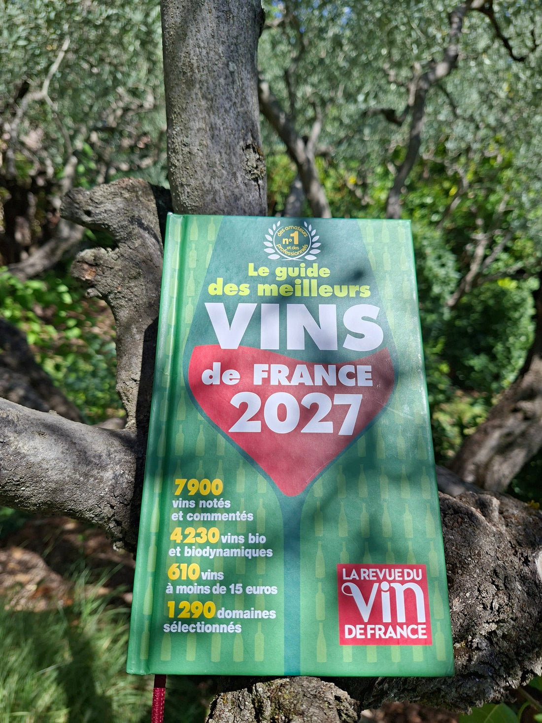 Les notes de nos vins dans le Guide vert 2027 de la Revue du Vin de France !